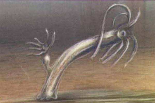 2 krn