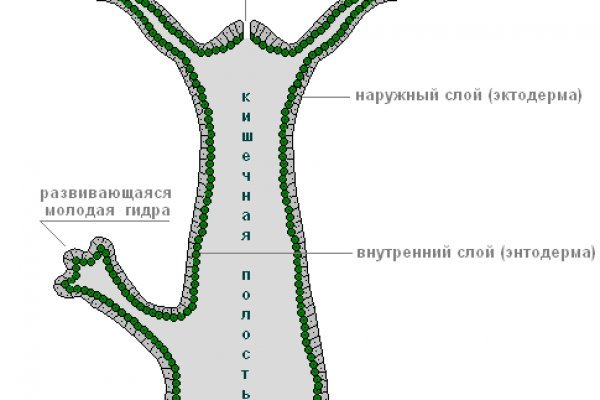 Ссылка на kraken торговая площадка