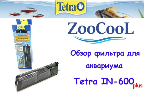 Дарк нет вход