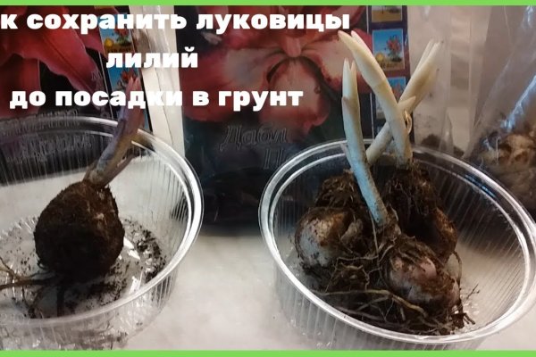 Кракен правильная