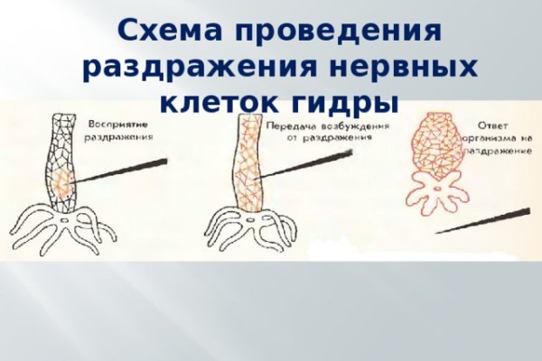 Сайты наркоты