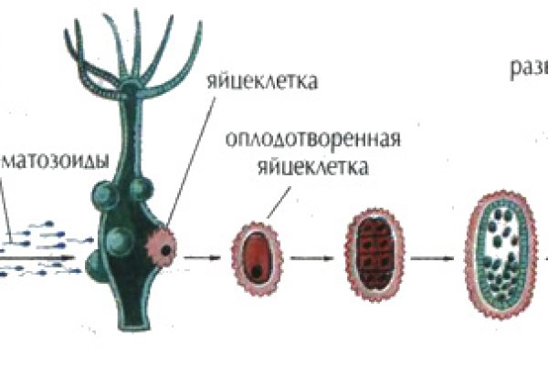 Сайт кракен россия