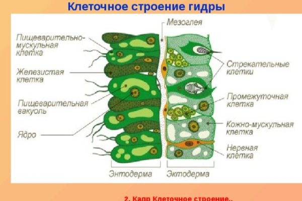 Kra34cc