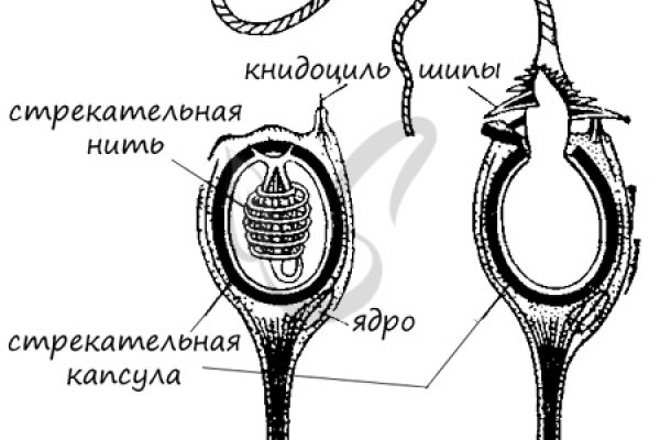 Кракен марке даркнет