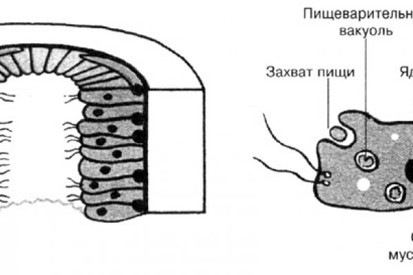 Ссылки мега кракен