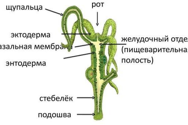 Кракен правильная
