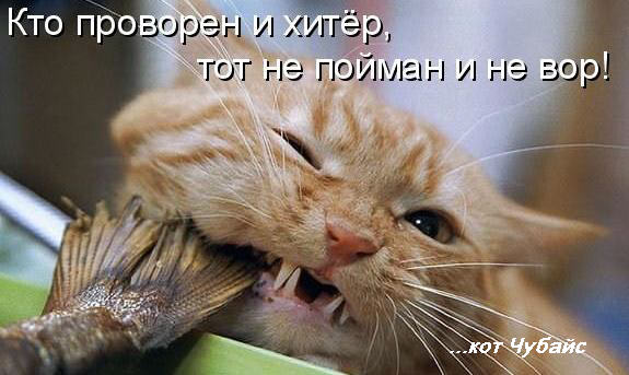 Кракен сайт дарк нет