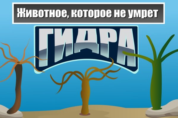 Кракен маркет даркнет только через тор скачать
