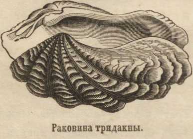 Kraken сайт зеркала
